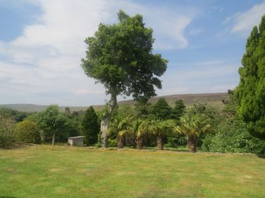 View from the main Bedroom