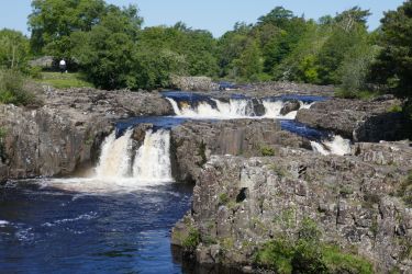 Low Force