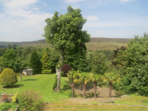Belle View Cottage