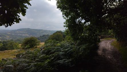 Whimsy by the Peaks