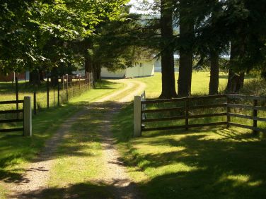 Driveway to house