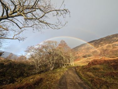 Rainbow in glen behind house