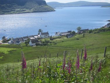 Auld Mission Cottage