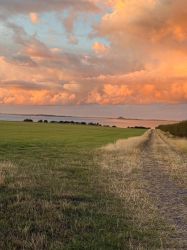 The walk to the bird hide, overlooking Holy Island and the Lindisfarne Nature Reserve