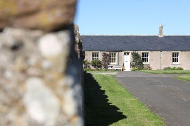 Thelma&rsquo;s House