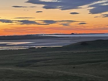 Thelma&rsquo;s House