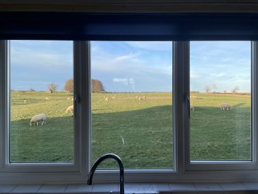 The view from the kitchen sink!