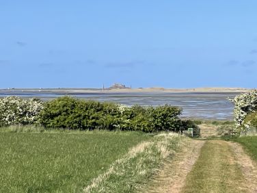 Walk down to the Elwick bird hide