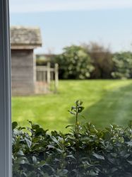 Thelma&rsquo;s House