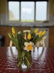 Thelma&rsquo;s House