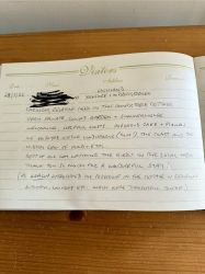 Thelma&rsquo;s House