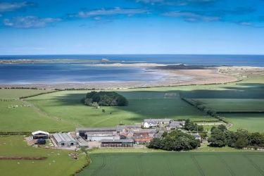 Elwick Farm looking over towards Ross sands