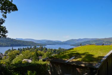 View from the garden