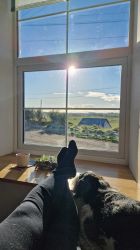 Nordlys Cottage
