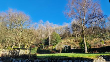 Nordlys Cottage