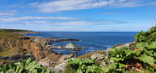 More views from the back garden