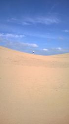 We are next to this UNESCO Biosphere the larges complex of sand dunes in England