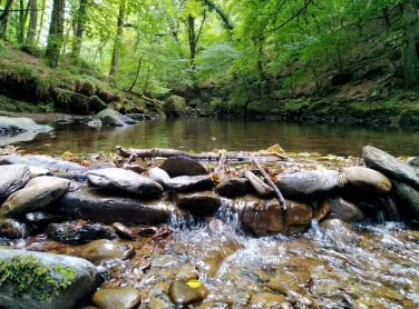 Beautiful North Coast Walks. See our guidebook.