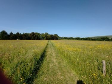 Take a walk through the cut paths in the meadows on our 6 acre estate