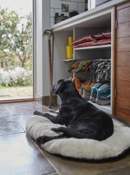 Utility and Boot Room with sink and Washing machine