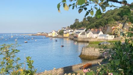 Aberdovey Hillside Village - view of Aberdovey from east