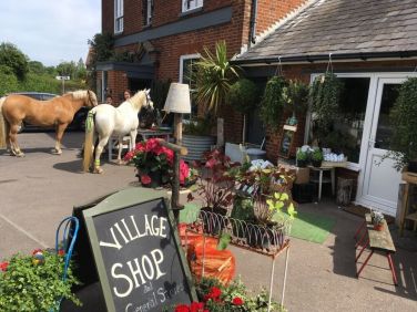 Selling Village Stores