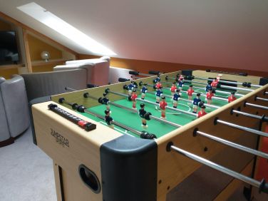 Games room in the greenhouse
