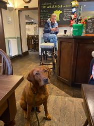 Dog Friendly Pub