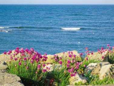 Anchor Cottage by the Sea