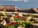 Pele View Cottage by the Sea