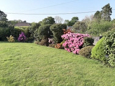 The front garden - guests are welcome to enjoy the whole garden