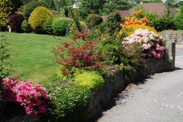 Looking down the drive