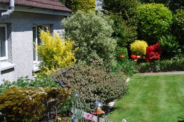 View from kitchen window.