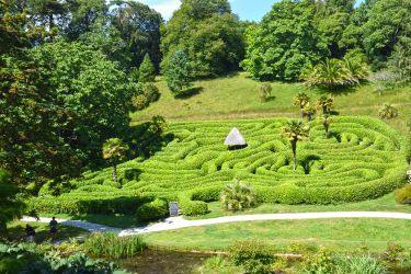 The mazer at Glendurgan, National Trust