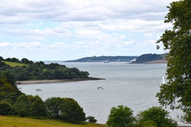 Looking seaward from Trelissick (National Trust)