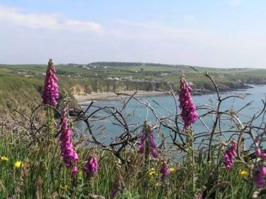 The Front Wing - Pen y Graig