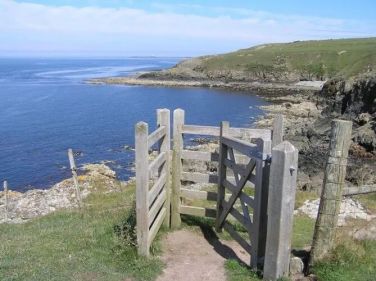 The Front Wing - Pen y Graig