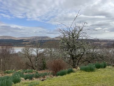 Stunning views from Cove Cottage