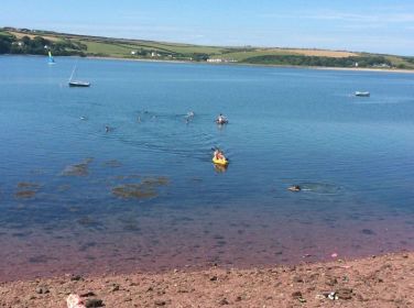 Swimming ,kayaking and paddle boarding at Musselwick