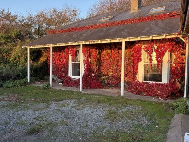 The annex to Musselwick Bungalow - Joan's Cottage