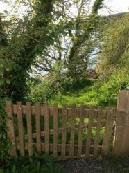 Path from garden to beach