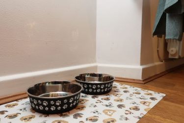 The Lodge Ground Floor Flat