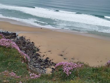 Coast path, Porthtowan
