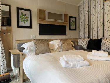 Wagtail