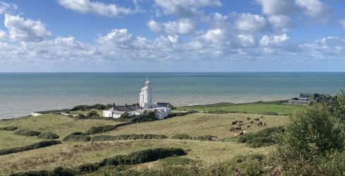 The Stable at Buddle Place