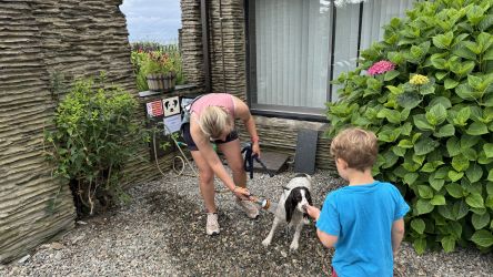 Otter - Aberdovey Hillside Village "Dog and Bike wash point"