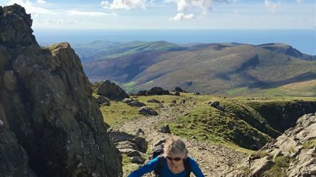 Otter - Aberdovey Hillside Village - Cader Idris our local mountain