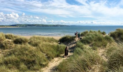 Otter - Aberdovey Hillside Village - Aberdovey Sandy Beach - sand dunes