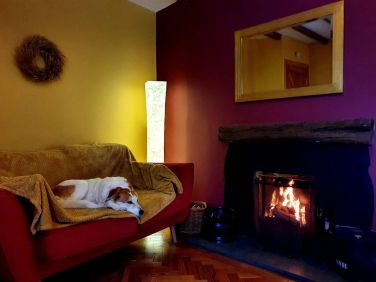 Living Room: put your feet/ paws up and make yourself at home