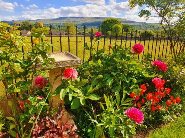 Garden - south facing, large and enclosed with beautiful views